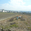 2013,01,11 10:41 G10 我爸擔土，輕輕鬆鬆。