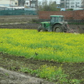 2012,01,29 11:45 FX50 鐵道旁稻田第二次翻土，最後一塊油菜花田翻土。