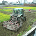 2012,01,29 11:07 FX50 鐵道旁稻田第二次翻土，油菜花田翻土囉。