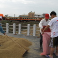 2013,11,12 14:08 102年旺農好米第二期曬稻穀第四天，家裡的三男人工作。