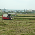 2012,11,11 13:52 FX50 101年第二期旺農好米成長第一百一十四天，收割第二天。
