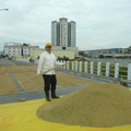 2012,11,11 12:46 FX50 101年第二期旺農好米曬稻穀第二天，再加碼。