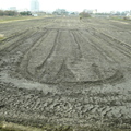 2012,02,04 11:46 FX50 雨水充足，稻田沒有很乾，但是時間到了，也準備開始灌溉。