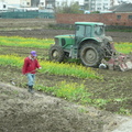 2012,01,29 11:49 FX50 鐵道旁稻田第二次翻土，油菜花田快翻土完成了。