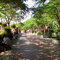 杜拜世博花園