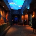 杜拜雅特蘭提斯酒店與海洋生物樂園