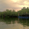 斯里蘭卡阿洪迦勒馬渡河遊船