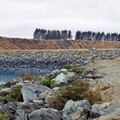 NZ南島翠佐至普卡基湖