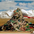 西藏拉薩至青海格爾木間風光