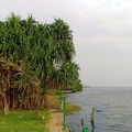 斯里蘭卡可倫坡Regents Arie Lagoon