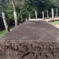 斯里蘭卡波羅那魯瓦宮殿遺址