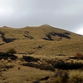 NZ南島蒂卡波湖至艾斯柏頓