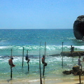 斯里蘭卡迦勒高蹺立釣