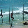 斯里蘭卡迦勒高蹺立釣