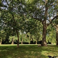倫敦海德公園