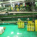 竹南啤酒廠    2012.07.12