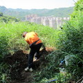 南勢角山步道