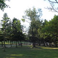大安森林公園與半畝園
