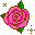 玫瑰小花