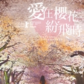【風式影劇分享】：愛在櫻花紛飛時 - 5