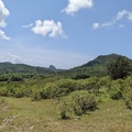 季風超強，帽飛傘翻樹枯，一片堅韌草原。 遠方是墾丁大尖山。